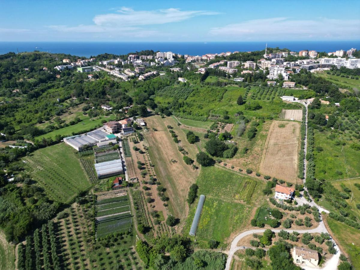 Villa Fiori Del Conero à Ancône Extérieur photo